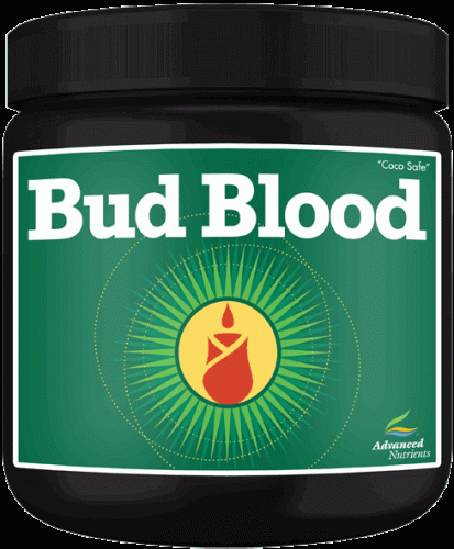 Advanced Nutrients Bud Blood Powder, 500 g