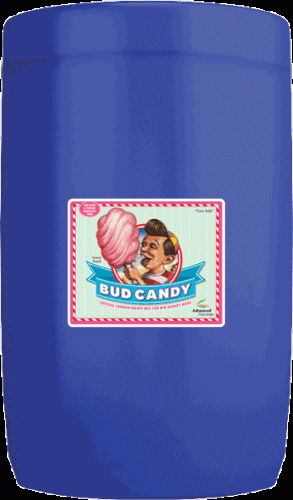 Advanced Nutrients Bud Candy, 57 L