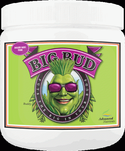 Advanced Nutrients Big Bud Powder, 500 g