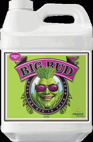 Advanced Nutrients Big Bud, 250 mL