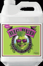 Advanced Nutrients Big Bud, 500 mL