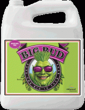 Advanced Nutrients Big Bud, 4 L