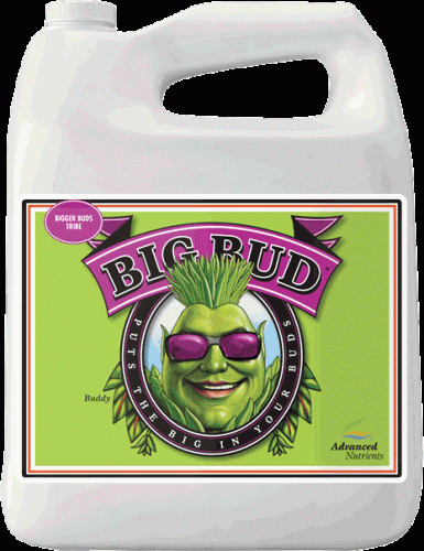 Advanced Nutrients Big Bud, 4 L