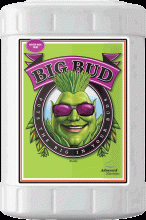 Advanced Nutrients Big Bud, 23 L