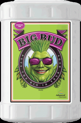 Advanced Nutrients Big Bud, 23 L