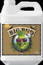 Advanced Nutrients Big Bud Coco, 500 mL
