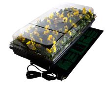 Jump Start Germination Station