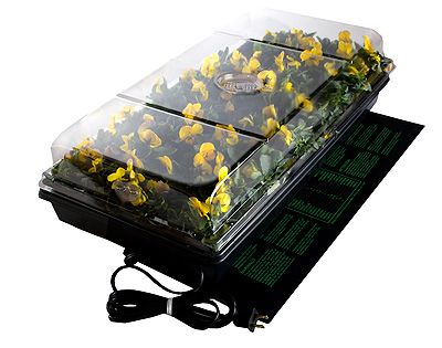 Jump Start Germination Station