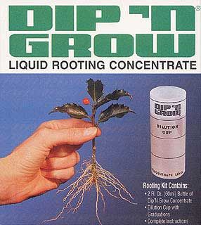 Dip N Grow Rooting Solution, 2 oz