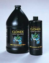 Clonex Solution Quart
