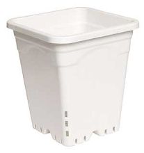 Square Pot White 12