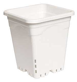 Square Pot White 12