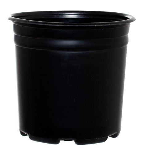 Pro Cal Thermo Pot, 2 Gallon