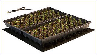 Jump Start Seedling Heat Mat, 20