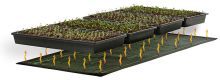 Jump Start Seedling Heat Mat, 48