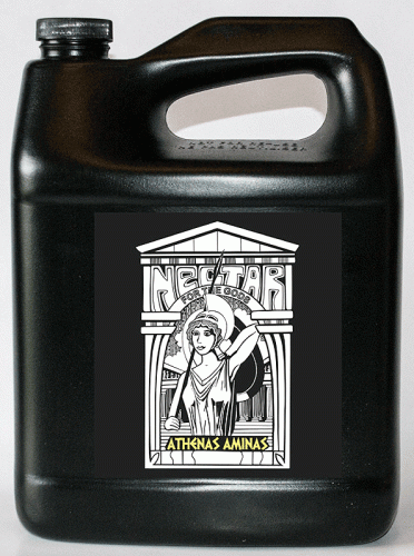 Nectar For The Gods Athenas Aminas, Gallon