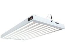 Agrobrite T5 4' 8 Tube Fixture