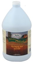 Horticultural Molasses, Gallon