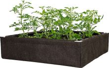 Dirt Pot Box 2'x4' Raised Bed