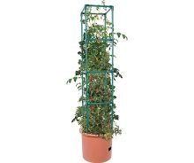 Heavy Duty Tomato Barrel w/Tower