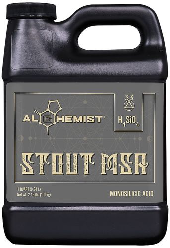 Alchemist Stout MSA Quart