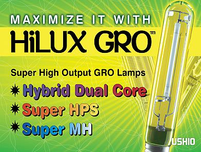 Ushio Conversion (Sodium to Halide) Lamp, 600W, 6/cs